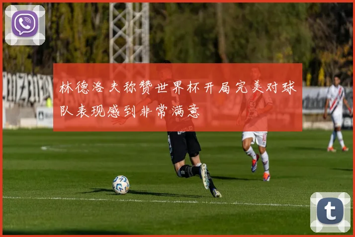 林德洛夫称赞世界杯开局完美对球队表现感到非常满意