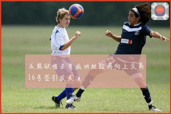 灰熊欲借去年成功经验再向上交易16号签引发关注