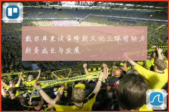 戴尔库里谈黄蜂新文化三球将助力新秀成长与发展