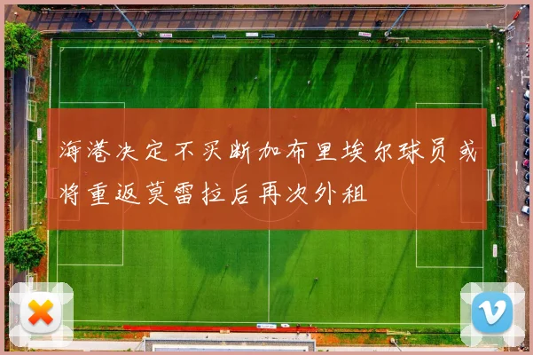 海港决定不买断加布里埃尔球员或将重返莫雷拉后再次外租
